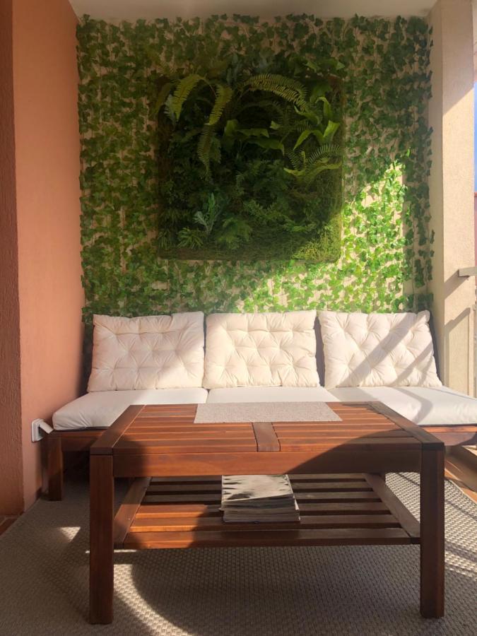 2P Terrasse Vue Piscine Et Jardin Tropical La Croix Valmer エクステリア 写真